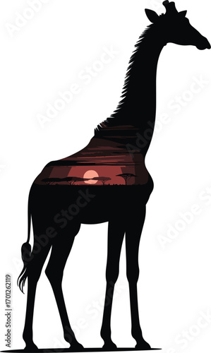 Giraffe silhouette with African sunset landscape inside, wild animal double exposure effect, flat vector illustration, nature, safari, wilderness, design