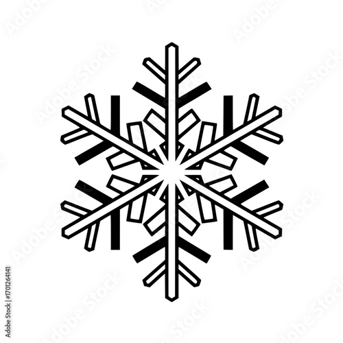 Elegant black and white snowflake design symbolizing winter's beauty and icy patterns