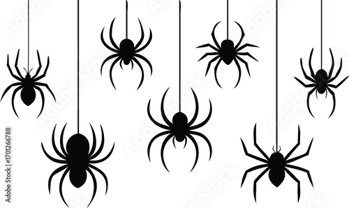 Black Silhouette Spiders Hanging on White Background 
