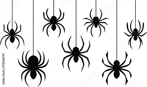 Black Silhouette Spiders Hanging on White Background 
