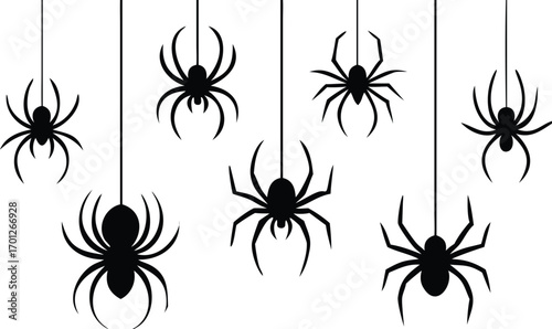 Black Silhouette Spiders Hanging on White Background 
