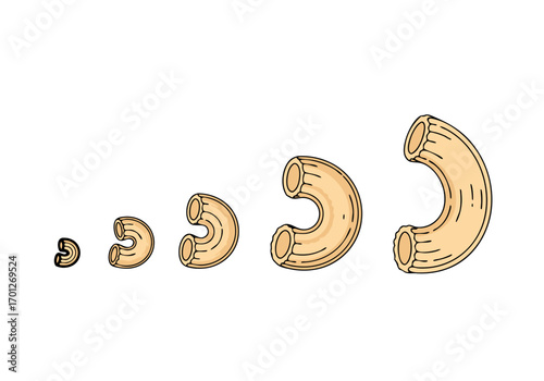 A vector illustration of macaroni pasta shapes in various sizes and stages of development, showcasing a gorfou macaroni vector concept in a minimalist style