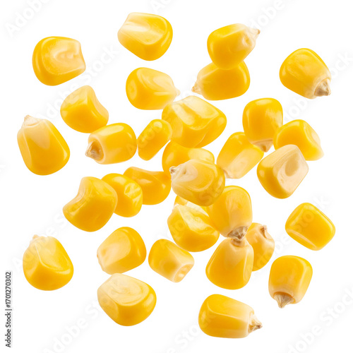 falling corn kernel isolated on white background