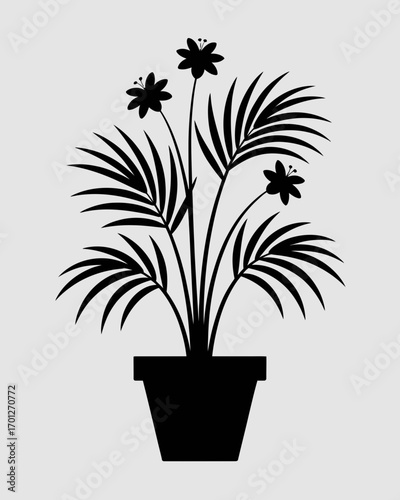 plant in a pot