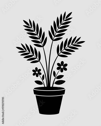 plant in pot