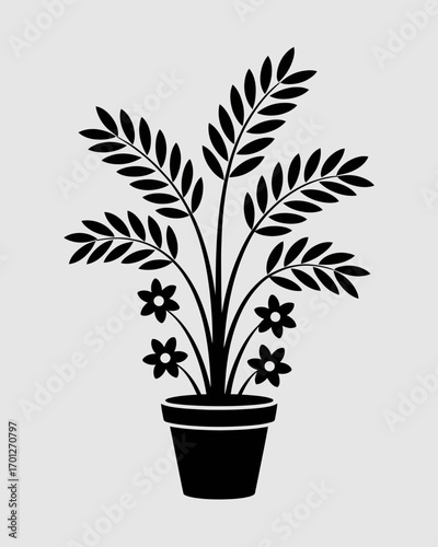 plant in pot