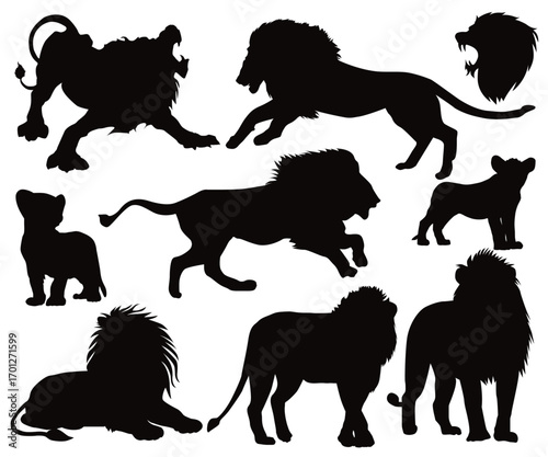 Roaring Lion head logo icon, lion face vector Illustration. A Powerful Royal king sketch. Dangerous animal in natural conditions. Baby lion and cubs vector silhouette. Lion rest pose.