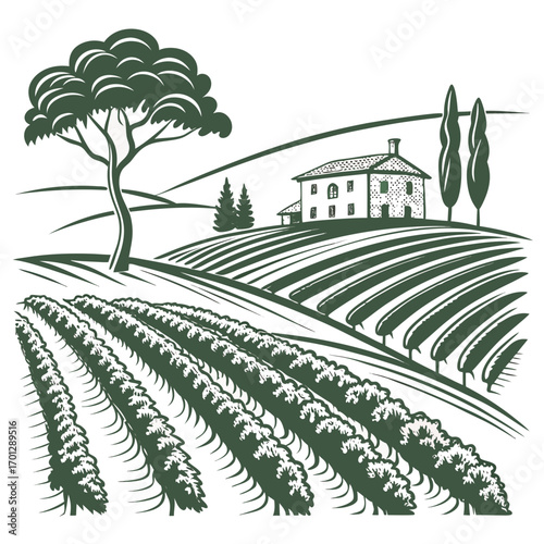 Stylized illustration of a tuscan vineyard landscape with rolling hills a farmhouse and cypress trees