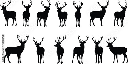 Black silhouette vector illustration of deer with antlers, stag animal shapes, hunting wildlife design, forest reindeer shadow art, elk graphic