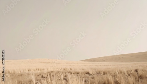 Neutral Beige Field Landscape Under Soft Light