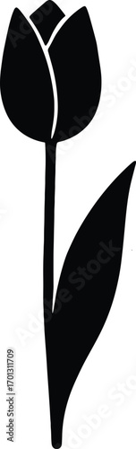  vector silhouette, tulip upright on single stem with broad leaf, solid black