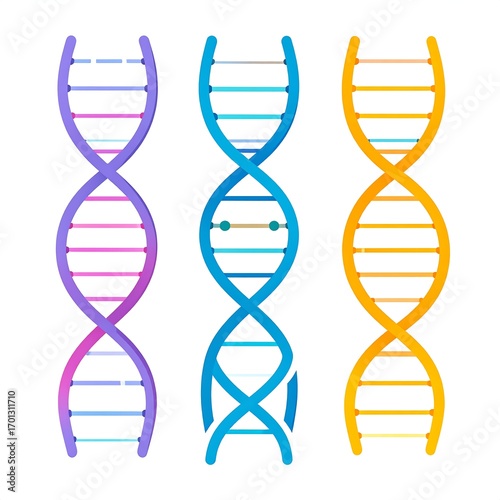 Colorful DNA strands