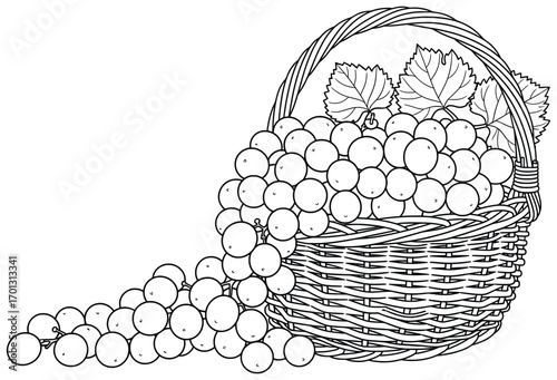 Grapes vector illustration of a basket filled with fresh fruit spilling outward with leaves behind drawn in clean black line art style for healthy food, organic farming, vineyard, and design themes