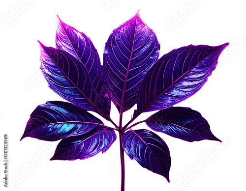 Firefly_https - -www.freepik.com-premium-ai-image-png-leaf-shape-neon-background-purple-light-
