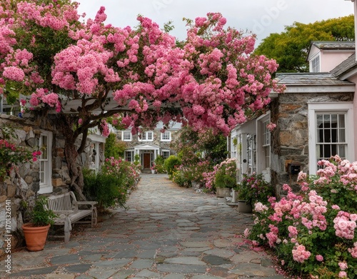 Flowering Tree Blooms Over a Pathway