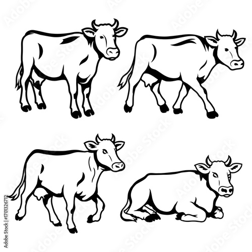 Set of Cow Outlines Vector Illustrations