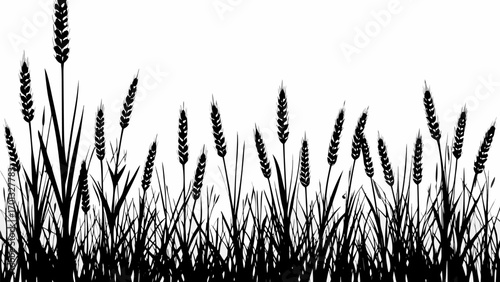 Vector silhouette illustration of wheat field with tall grass and grain stalks against a white background design element