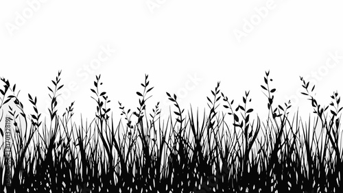 Vector silhouette of tall grass and weeds with a white background creating a stark contrast in a simple landscape 1