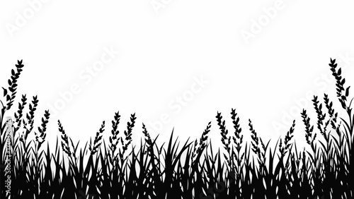 Vector silhouette of tall grass and flowering plants against a white background creating a natural border design