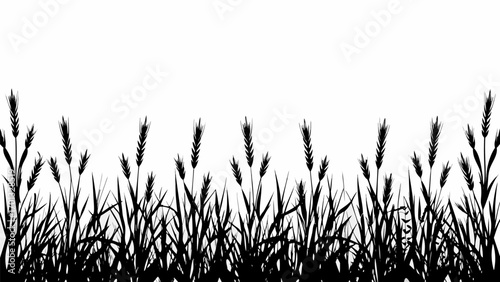 Vector silhouette illustration of a field of wheat and grass against a white background creating a natural border