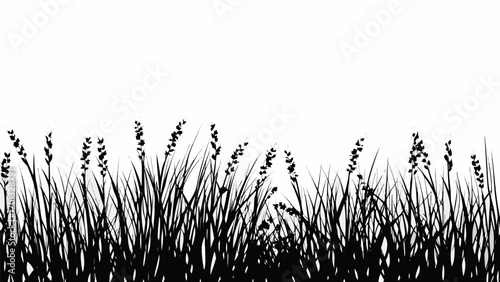 Vector silhouette of tall grass and weeds against a white background creating a natural and wild feel in the image