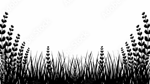 Vector black and white illustration of grass and leafy plants forming a border against a white background space