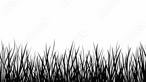 Vector silhouette of grass blades against a white background creating a natural border or decorative element design