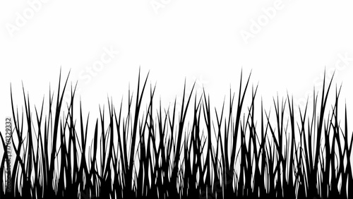 Vector silhouette of dense grass blades creating a textured border against a white background in monochrome style