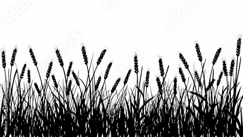 Vector silhouette illustration of wheat and grass plants against a white background in a horizontal composition