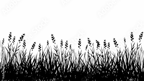 Vector silhouette of grass and reeds against a white background creating a natural border or background design