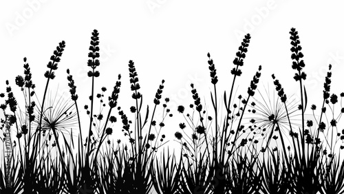 Vector silhouette of grass and various plants including lavender against a white background creating a stark contrast