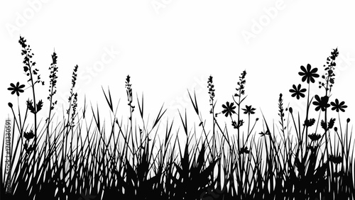 Vector silhouette of grass and wildflowers against a white background creating a natural and serene scene
