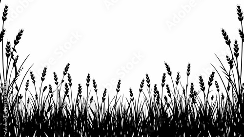 Vector silhouette of wheat field with various heights and densities creating a natural and organic border design