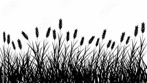 Vector silhouette illustration of a field with tall grass and wheat stalks against a white background landscape scene
