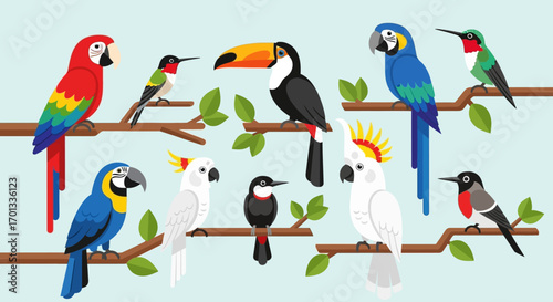 A vibrant collection of illustrated exotic birds, including macaws, toucans, and cockatoos, perched on leafy branches.