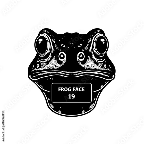 Black and white drawing of a frog face