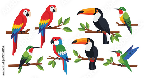 Vibrant Collection of Tropical Birds: Macaws, Toucans, and Hummingbirds Perched on Branches