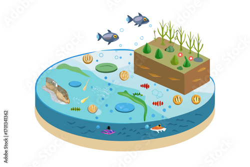 Crosssection of a pond ecosystem showing aquatic life and terrestrial plants