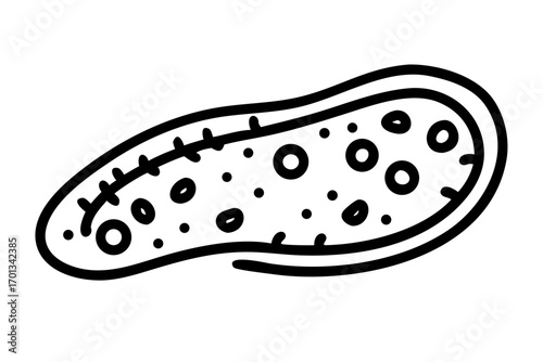 Line art sketch of a paramecium protozoan with cilia