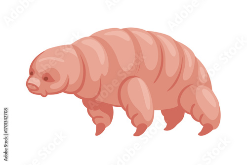 A pink tardigrade or water bear creature