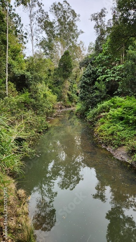 Peacock Creek in Richmond Range National Park, NSW Australia