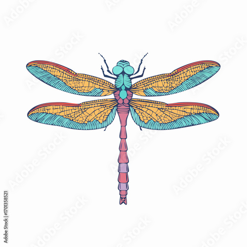 Dragonfly Insect Colored Hand Drawn Vintage Illustration