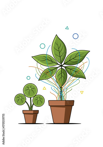 Illustrative progression of plant growth and development in pots