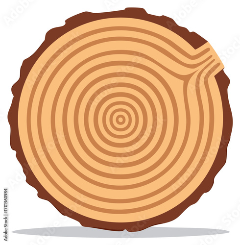 Detailed wood log cross section with tree rings, bark, and a saw cut vector illustration.