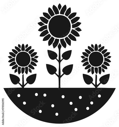 Minimalist Silhouette of Three Sunflowers Growing in Soil with White Seeds, Isolated Black and White