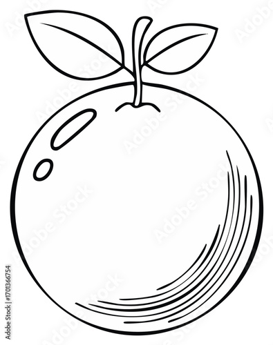 Simple illustration of a fruit with leaves and stem in outline