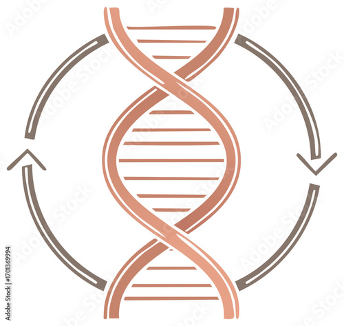 DNA double helix with circular arrows illustrating genetic modification or biological process