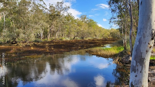 Wongi Waterhole, Wongi State Forest, Queensland Australia