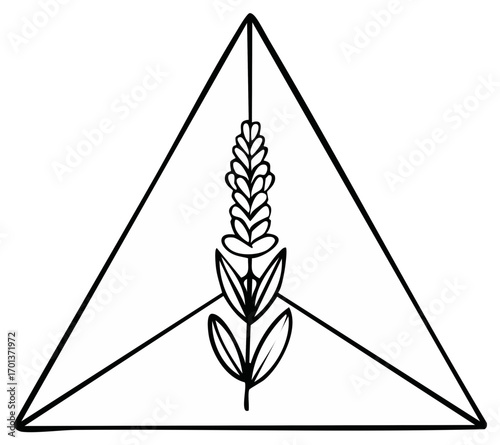 Minimalist line art of a flowering plant within an abstract triangular frame