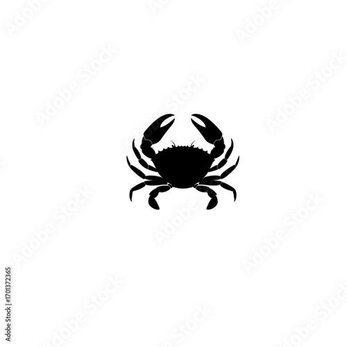 Crab silhouette, outline vector illustration 